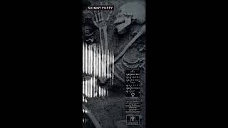 Skinny Puppy — Smothered Hope