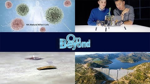 Stem Cells Fight Cancer, California