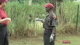 Download Praise For Dog Training Academy’s New Drug Detecting Method Video MP3 Praise For Dog Training Academy’s New Drug Detecting Method