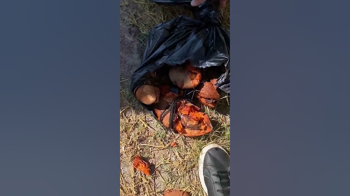 Brujería en cementerio