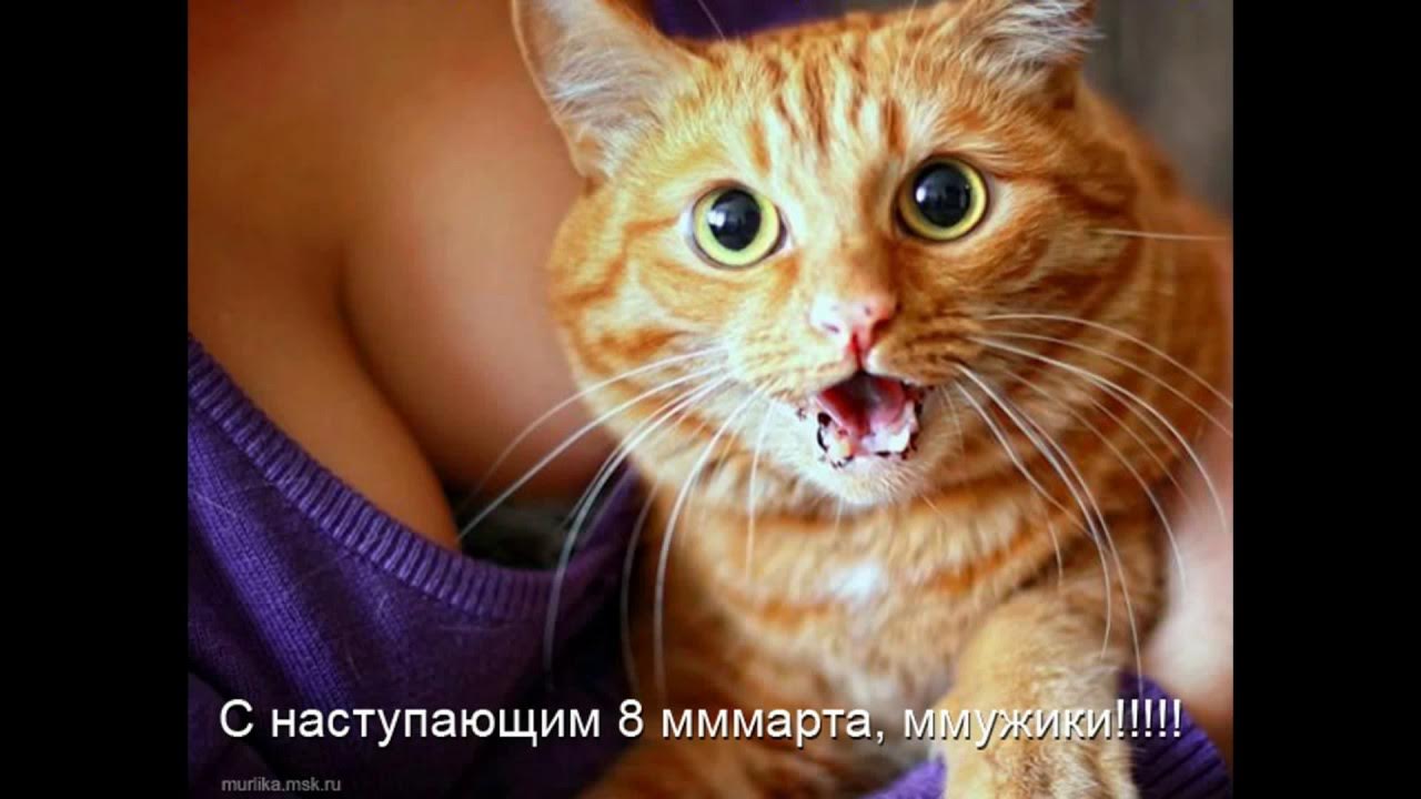 Завидно куда. Прикольный рыжий кот. Смешные рыжие коты с надписями. Наглый рыжий кот. Любопытная кошка.