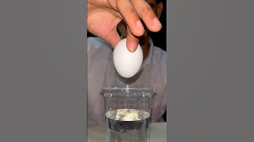 Turning An Egg Into A Bouncy Ball