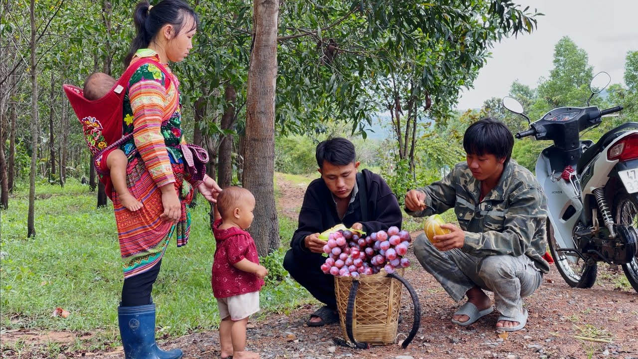 The miserable life of 3 mothers and daughters/ picking wild grapes to sell when they run out of food
