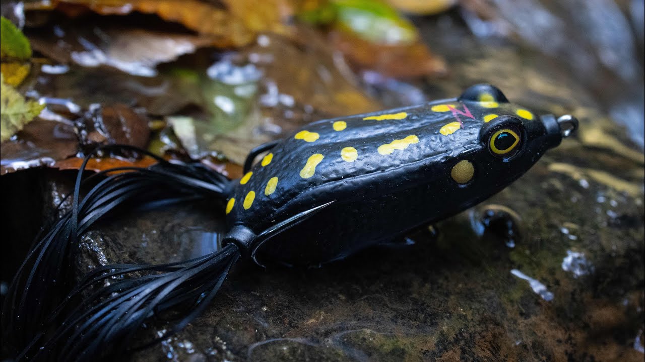 How to Fish a Topwater Frog 