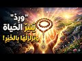 لو لسه متلزمتش بالورد ده فأنت خسران فى الدنيا والآخرة لانه حرفيا ورد المعجزات والمستحيلات 