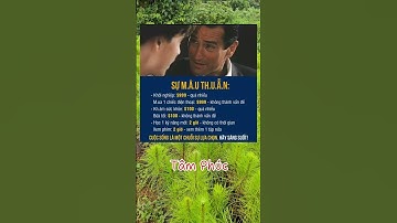 Cuộc sống là một chuỗi lựa chọn, hãy sáng suốt! #dongluc #cogang #phattrienbanthan