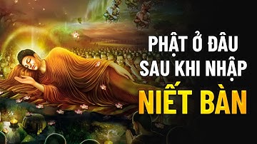 Phật Ở Đâu Sau Khi Nhập Niết Bàn? Sự Thật Khiến Nhiều Người Bất Ngờ | Tâm Tỉnh Thức