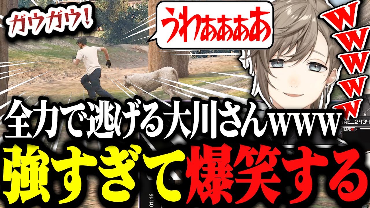 【ストグラ】最強のピューマにハンティングされる大川さんに爆笑する無馬かなwww、新たな人物がアルカナ組織に？【ストグラ切り抜き/叶/にじさんじ/アルカナ/無馬かな】