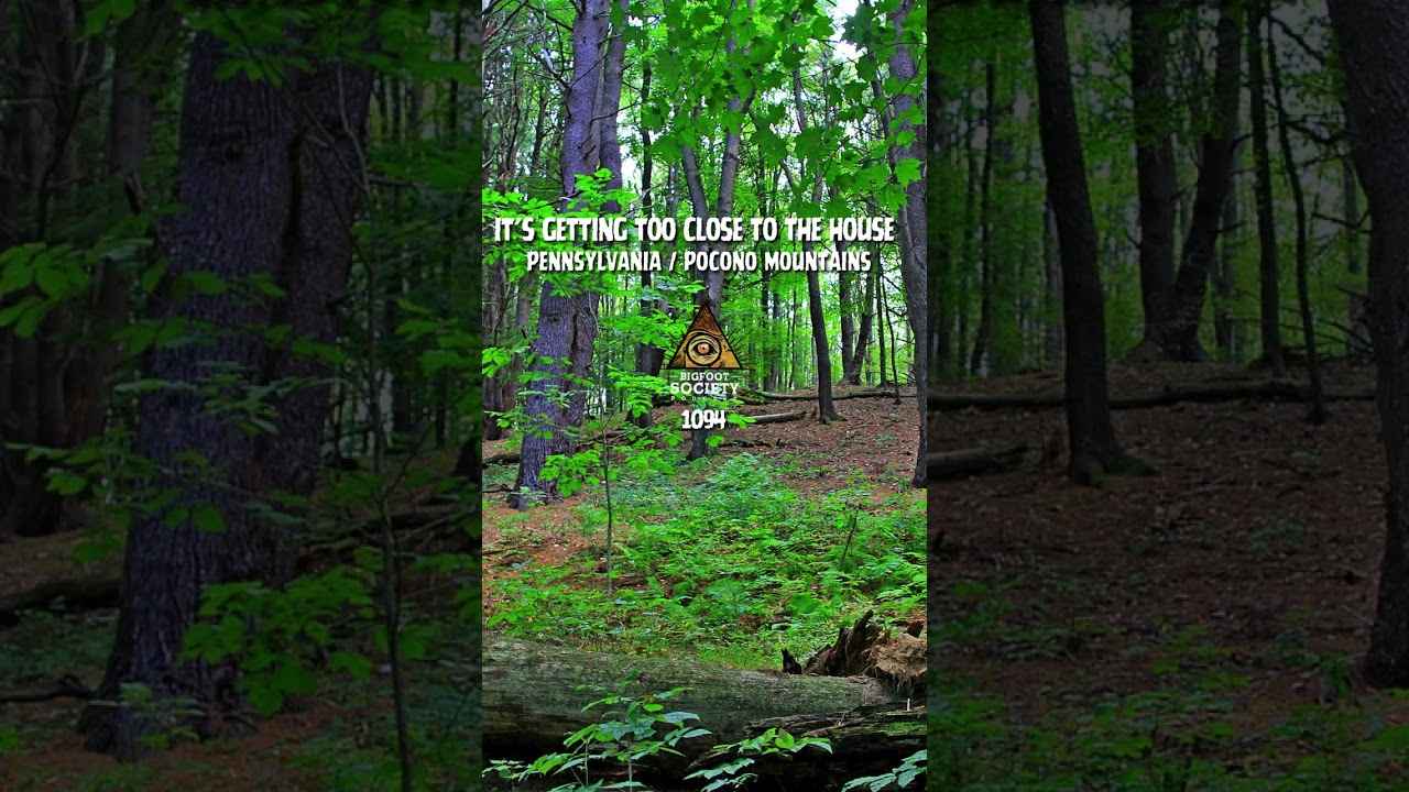 He hunted this land for 20 years… then something started hunting back