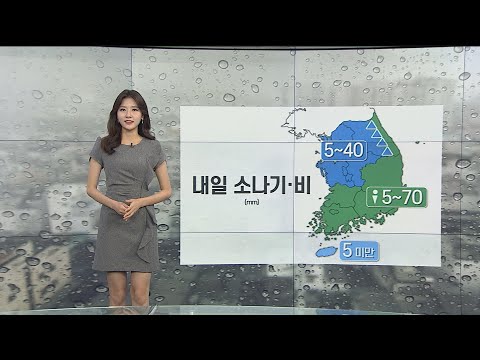 [날씨] 내일 강한 소나기·비…동해안 폭풍해일 주의 / 연합뉴스TV (YonhapnewsTV)
