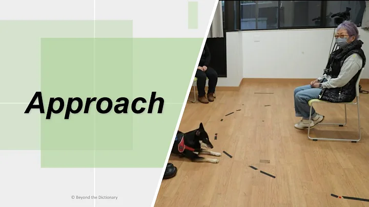 [Advanced English] "Approach" | Digging Deep What Makes Shiba Inu Dogs So Special