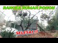 #EPS23 AVIARY DEHAKIMS | RANGKA SELESAI !! WOW !! BISA PANTAU BURUNG2 NIH NANTI