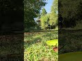 Putting in the summer. #Nature #discgolf