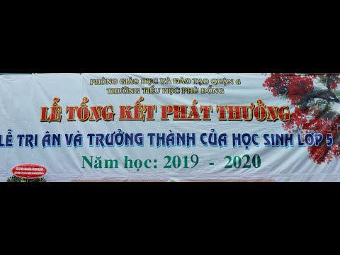 Trường Tiểu Học Phù Đổng Quận 6 - youtube