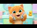 Kätzchen wäscht sein Gesicht 🐱💦 | Fröhliches Waschlied für Kinder