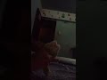 Xddd