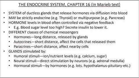 2402 Lecture Ch 16 Endocrine System PowerPoint Screencast 1