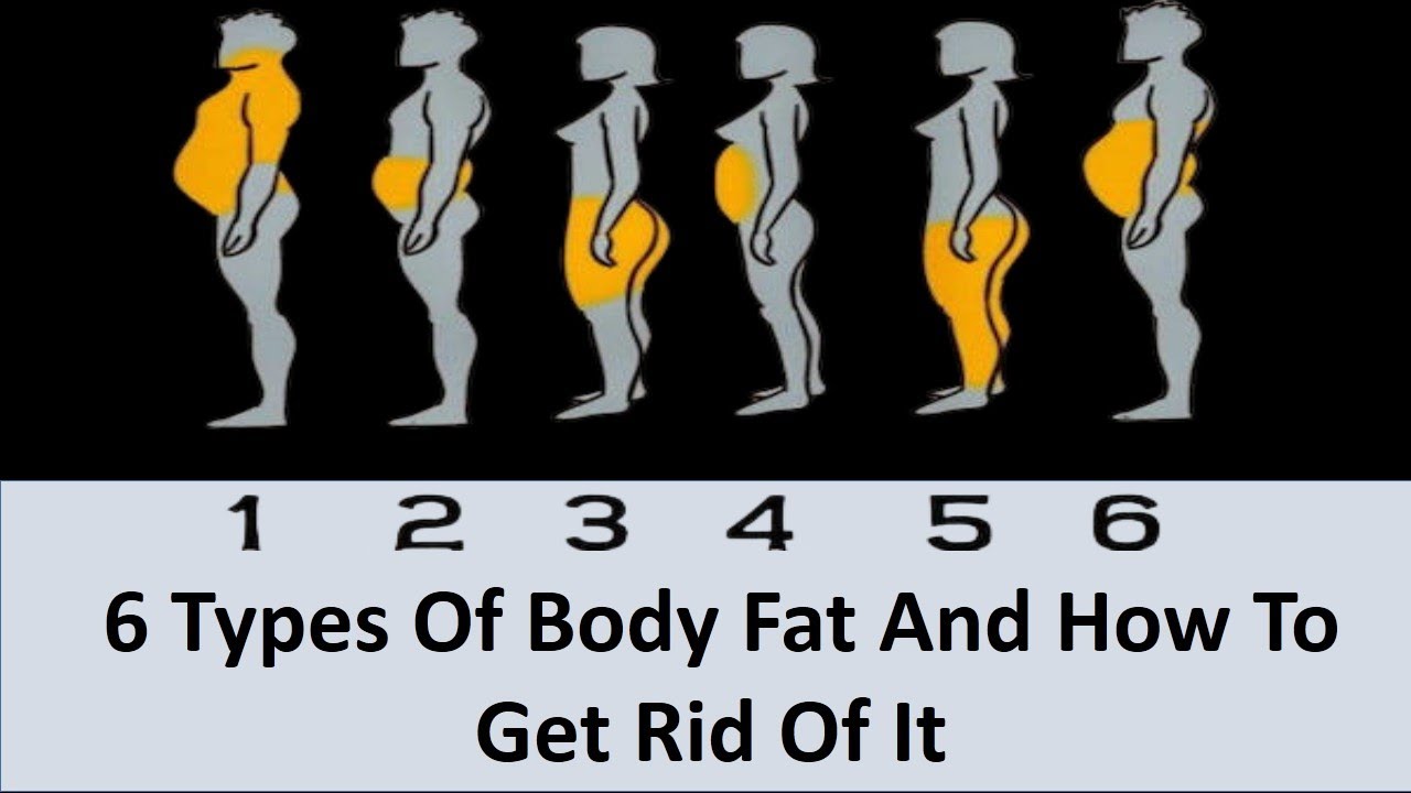 6 Types Of Body Fat And How To Get Rid Of It Youtube