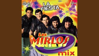 Miniatura del video "Los Mirlos - La Ladrona"