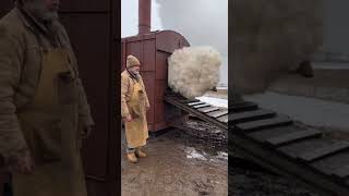 He steam cleaned the polar bear a little too hard
