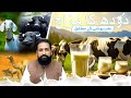         دودھ کا مزاج فوائد اور نقصانات