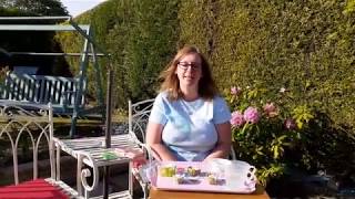 Northumberland Libraries - Making cress people