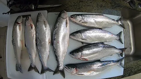 Kokanee Fishing With Paulina Peak Tackle