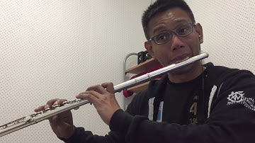Soken - Crimson Sunset (Kugane Night Theme) from Final Fantasy XIV 4.0: Stormblood - Flute Cover