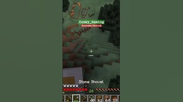 when you accidentally sprint instead of crouch 😬 #minecraft #minecrafthardcormode