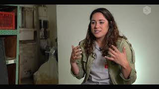 Famous What is the Workmanship Program? Net Worth