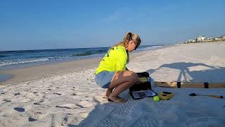 Perdido Key Florida turtle patrol!