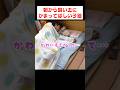 子猫が朝起こしに来てくれる幸せ
