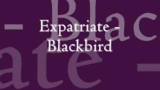 Expatriate - Blackbird