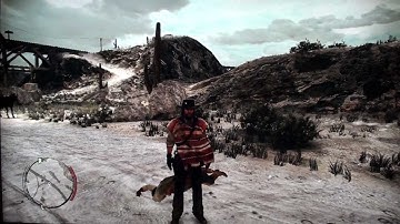 Infinite Ammo Cheat - Red Dead Redemption Cheats