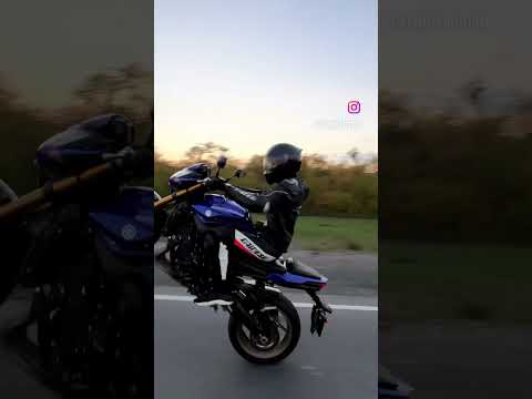 Yamaha fz8 wheelie