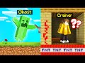 TROLLING My FRIEND As A GHOST! (Minecraft)