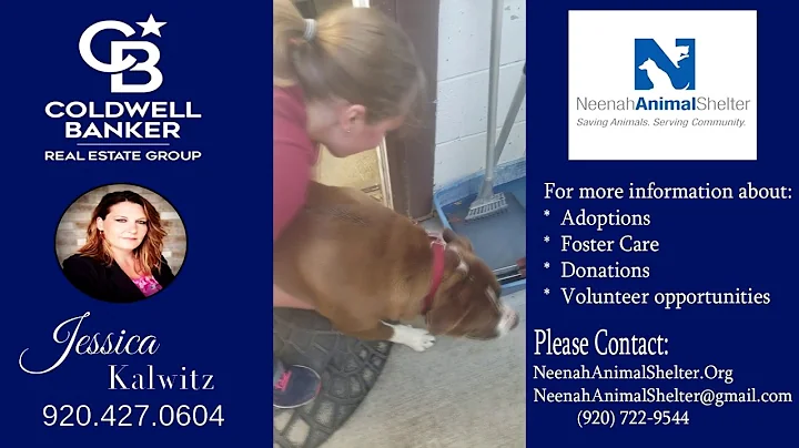 Finding Forever Homes: Pilot