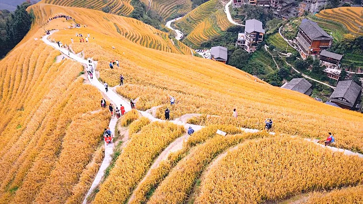 Longji Rice Terraces . Guilin - DayDayNews