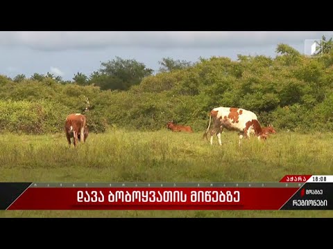 დავა ბობოყვათის მიწებზე