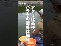 第170回釣技最前線 #Shorts #マルキユー #コウテン #セット