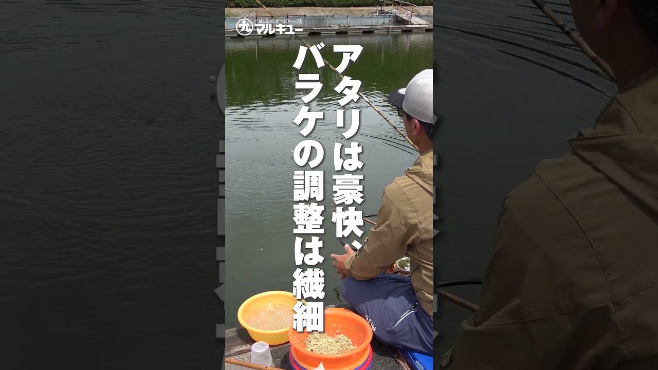 第170回釣技最前線 #Shorts #マルキユー #コウテン #セット