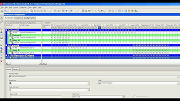 Primavera P6 explore resource assignments