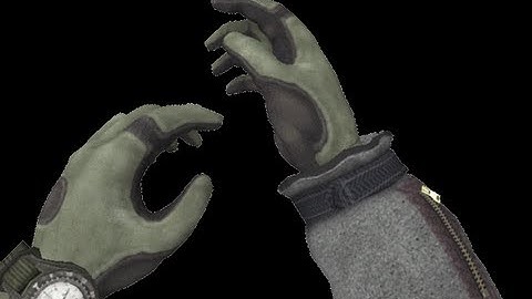 MW2 TF141 HANDS RIG TEST IN COD4 ANIMATION