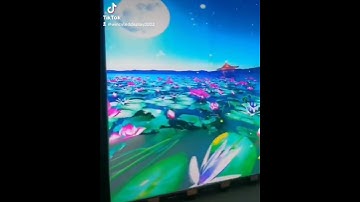 X-COB type K series P2.976 LED screen