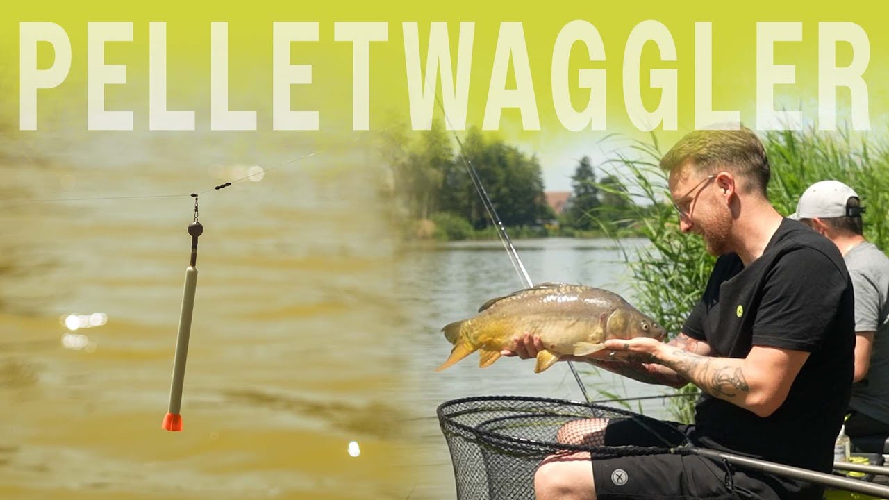So funktioniert Pellet Waggler Angeln