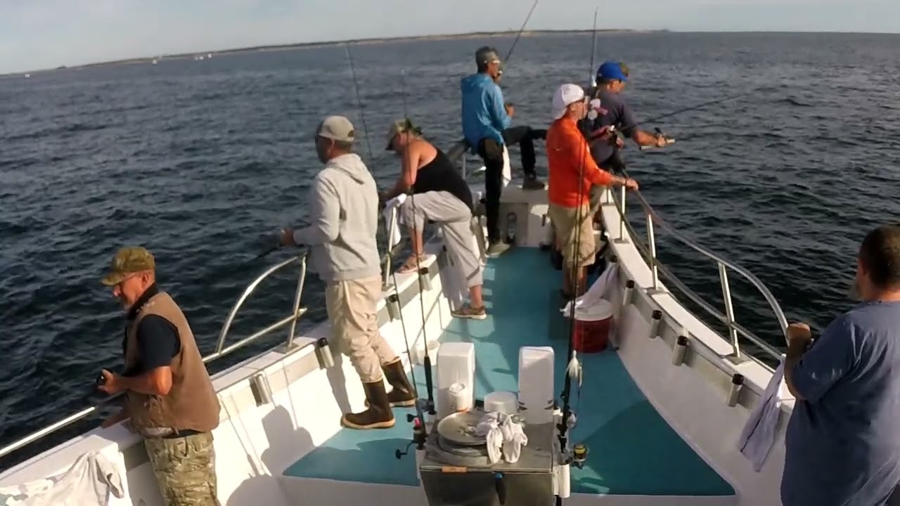 Miss Montauk 2022 09 03