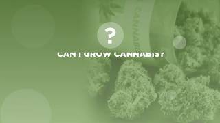 Can I Grow Cannabis?