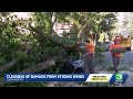 'We'll be busy all night,' Sacramento crews work to clear downed trees and branches after strong ...