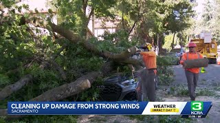 'We'll be busy all night,' Sacramento crews work to clear downed trees and branches after strong ...