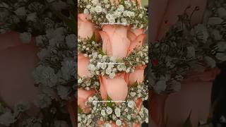 #pellipoolajada #pellidandalu#ssmb#rambai#love#shortvideos#chinni#chikirichikiri#manasankarvar#peddi